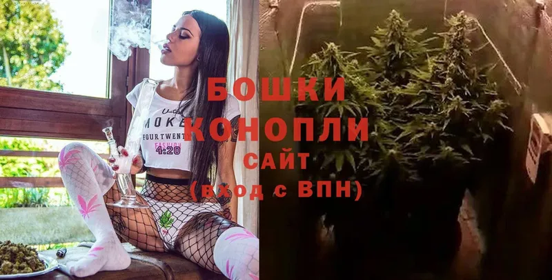 Бошки марихуана OG Kush  Инсар 